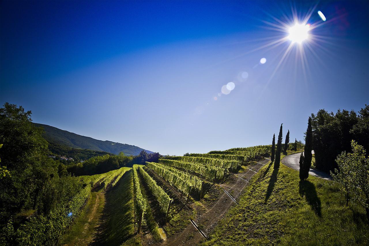 Venica & Venica Wine Resort Dolegna del Collio Extérieur photo