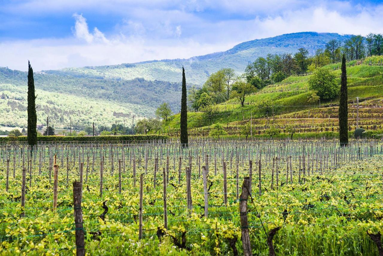 Venica & Venica Wine Resort Dolegna del Collio Extérieur photo